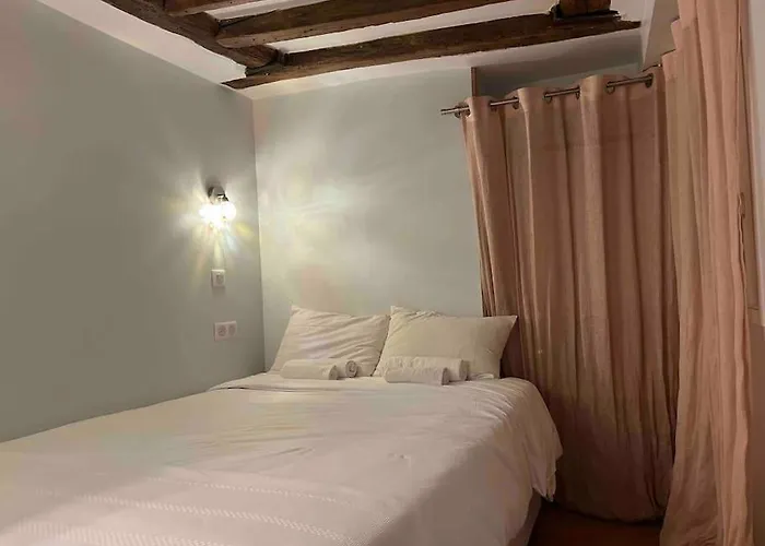 Le Marais Duplex - Steps From Pompidou Aldaro